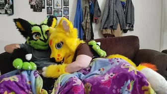 Sexy Furry movie night