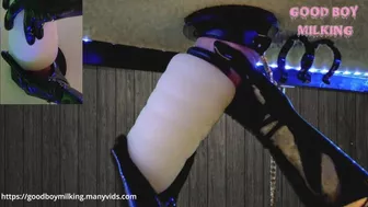 I Leashed His Cock to my Millking Table! Edged Till He Could Not Take it Anymore!!(Custom vid order)