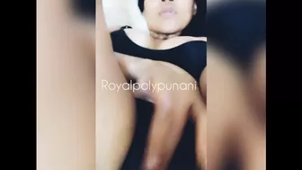 Royal Poly Punani ~ Royal Tease
