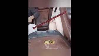 Cuck drives while hotwife fucks 2 bulls in backseat, cuck gets very sloppy thirds - - onlyfans prev