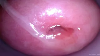 Camera in Vagina cumming, cervix throbbing, orgasm contractions, gfe raw talk, bts - My Muse Part 5