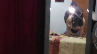 College Hazing Turns Into Wild Ass Fuck