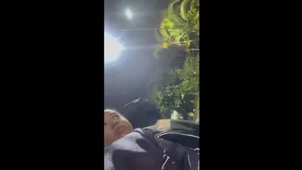I INVITED HER TO EAT AND SHE PAID ME. SHE LET HERSELF BE FUCKED IN A MOTEL